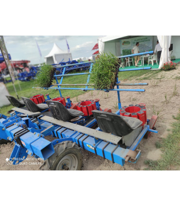 photo planteuse plants miscanthus